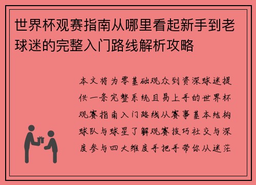 世界杯观赛指南从哪里看起新手到老球迷的完整入门路线解析攻略