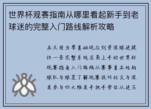 世界杯观赛指南从哪里看起新手到老球迷的完整入门路线解析攻略